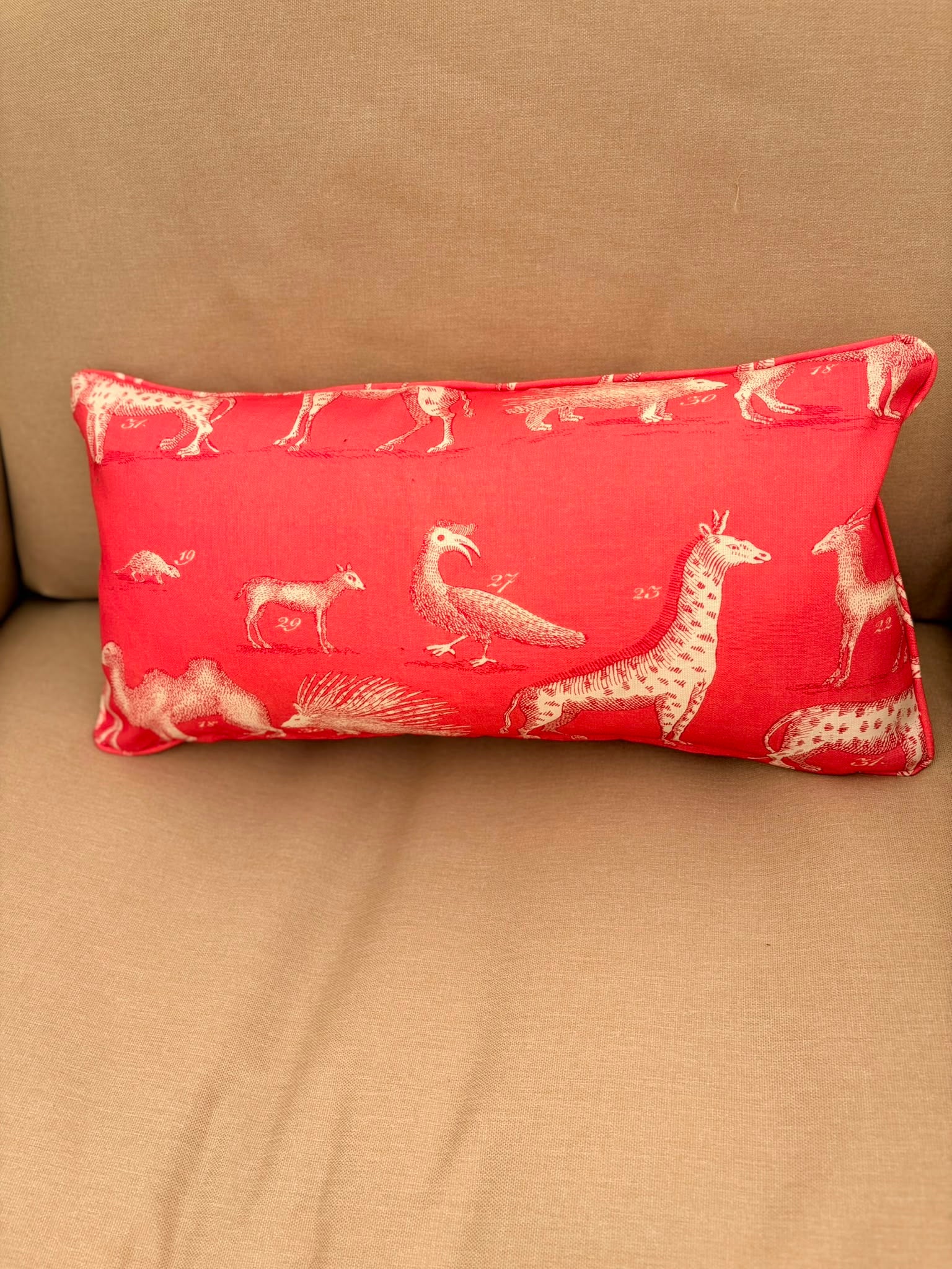 Andrew Martin Outdoor Cushion