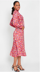 Nell Dress Ikat Multi