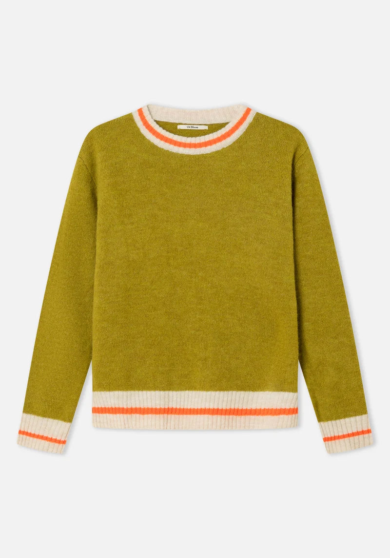 Dr Bloom Pistashio Berry Sweater